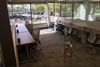 2390 E Camelback Rd photo